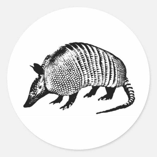 Pegatina Redonda Armadillo (Anverso)