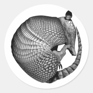 Pegatina Redonda Armadillo