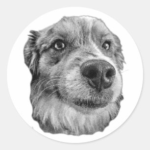 Pegatina Redonda Arriba Cerrar y Leal