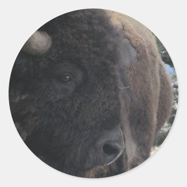 Pegatina Redonda Arriba y cerca y personal (Anverso)