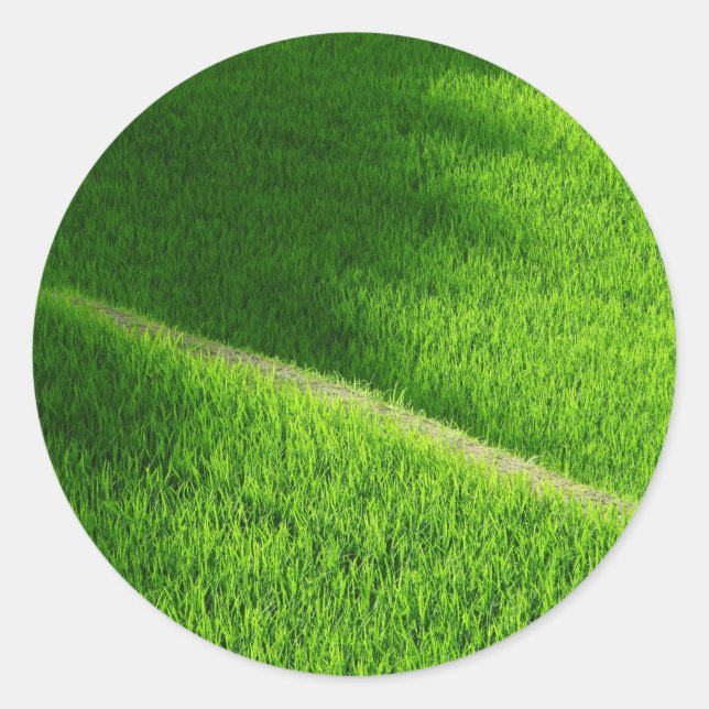 Pegatina Redonda Arroz con terrazas campos de arroz de Yamada Japón (Anverso)