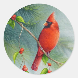 Pegatina Redonda Arte de acuarela de pájaro cardenal norte masculin