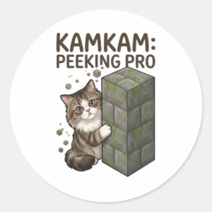 Pegatina Redonda Arte de gato de bloque de píxel divertido KAMKAM P
