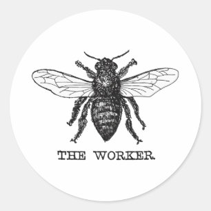 Pegatina Redonda Arte de ilustración vintage de abeja trabajadora