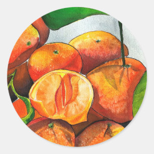 Pegatina Redonda Arte de la fruta de la acuarela del naranja mandar