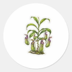 Pegatina Redonda Arte de Planta Jarra Exótica - Carnívora Indonesa 