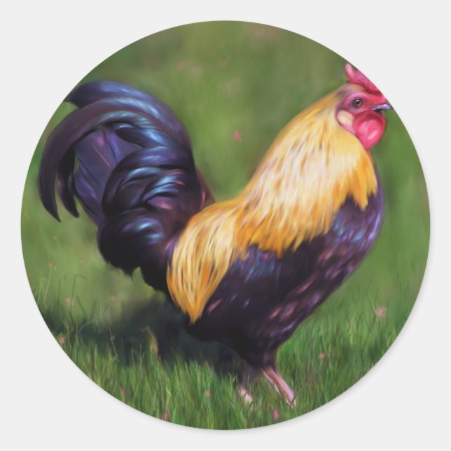 Pegatina Redonda Arte de pollo Stuart Bantam Rooster (Anverso)