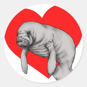 Pegatina Redonda arte del manatee
