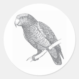 Pegatina Redonda Arte lineal de loro (gris) Arte fino