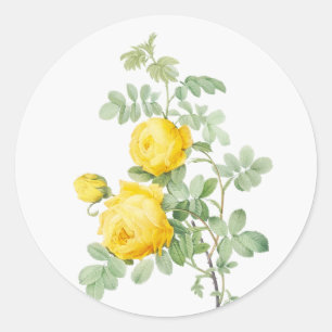 Pegatina Redonda Arte Original Acuarela Jardín Flor Rosas