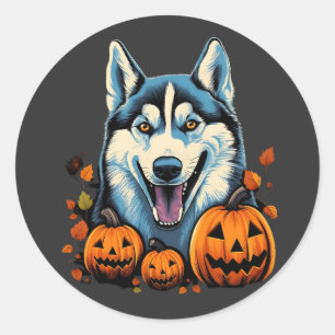 Pegatina Redonda Arte pop molinando perro Husky con calabazas Hallo