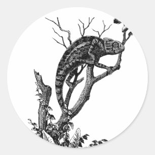 Pegatina Redonda Arte reptil de Iguana Lizard Jungle Safari animale