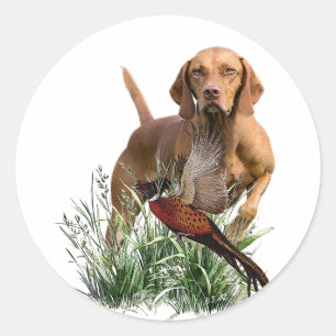 Pegatina Redonda Arte vascular húngaro