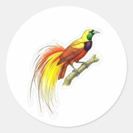 Pegatina Redonda Arte vibrante del ave del paraíso - Icono de Indon