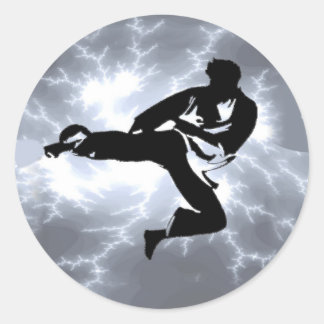 Pegatina Redonda Artes marciales Silver Lightning