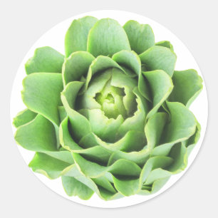 Pegatina Redonda Artichoke