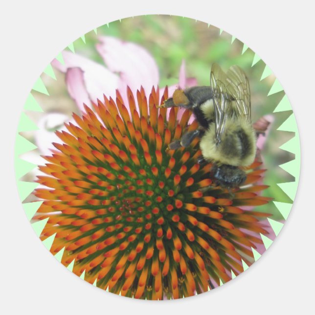 Pegatina Redonda Artículos de Abeja de Carpintero Oriental (Anverso)