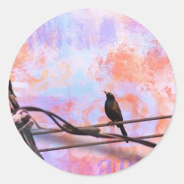 Pegatina Redonda Artsy Grackle (Anverso)