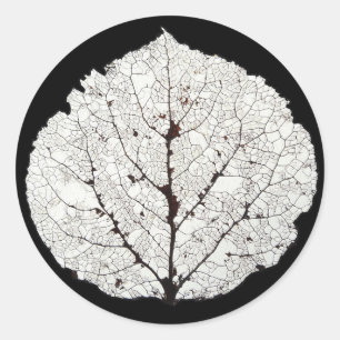 Pegatina Redonda Aspen Leaf Skeleton 1