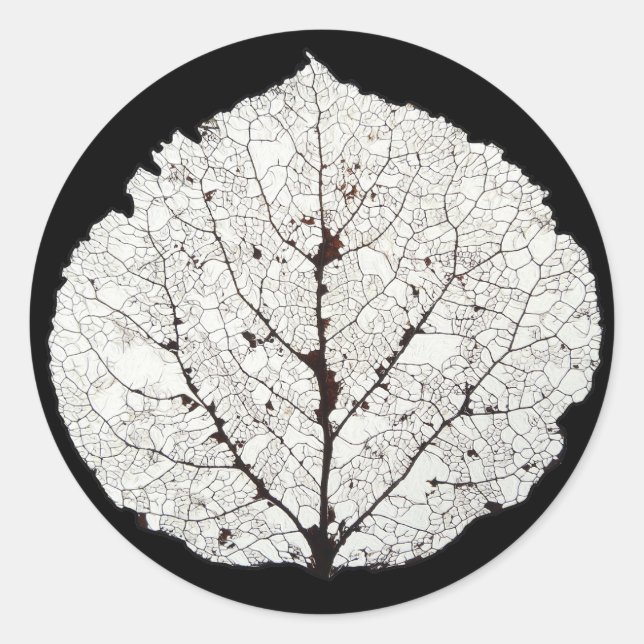 Pegatina Redonda Aspen Leaf Skeleton 1 (Anverso)