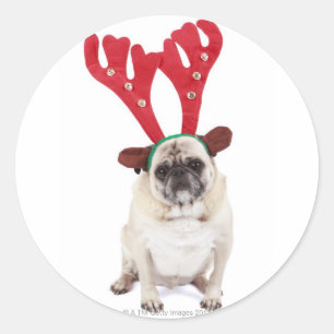 Pegatina Redonda Astas de mirada avergonzadas del reno del barro