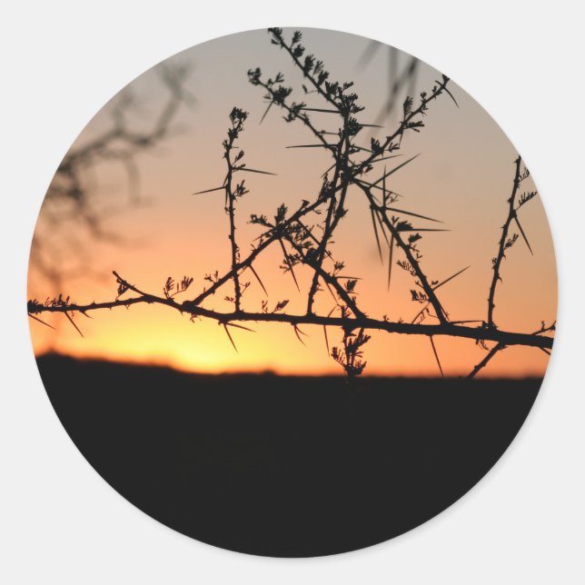 Pegatina Redonda Atardecer africano con espinosa silueta de árbol d (Anverso)