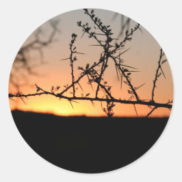 Pegatina Redonda Atardecer africano con espinosa silueta de árbol d