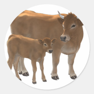 Pegatina Redonda Aubrac or Jersey Brown Cow & Cute Calf Cattle Ranc