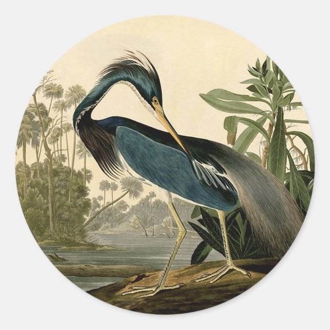 Pegatina Redonda Audubon Louisiana Heron Birds America Art (Anverso)