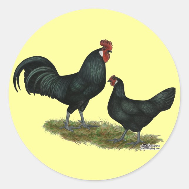 Pegatina Redonda Augsburger Chickens (Anverso)