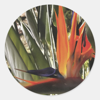 Pegatina Redonda Ave del Paraíso Strelitzia Reginae Acrílico Painti