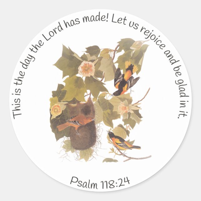 Pegatina Redonda Aves Audubon Oriólicas de Baltimore en el árbol de (Anverso)