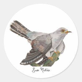 Pegatina Redonda Aves de bosque acuáticas