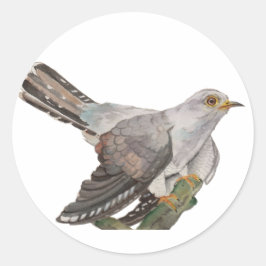 Pegatina Redonda Aves de bosque acuáticas