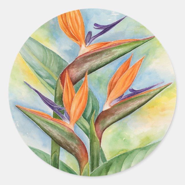 Pegatina Redonda Aves De Paraíso Acuarela Flores Pintando Arte (Anverso)