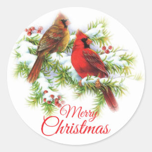 Pegatina Redonda Aves del cardenal navideño en el árbol