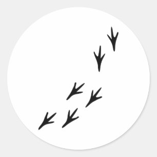 Pegatina Redonda Aves - Pistas