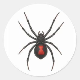 Pegatina Redonda Aviso de viuda: Araña negra de viuda