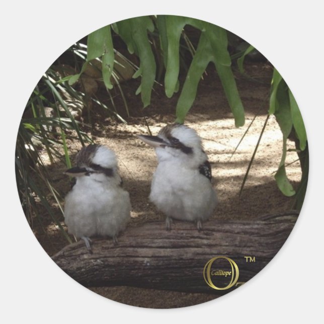 Pegatina Redonda Awesome Kookaburras (Anverso)