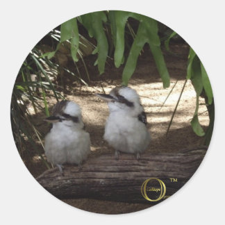 Pegatina Redonda Awesome Kookaburras