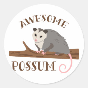 Pegatina Redonda Awesome Possum