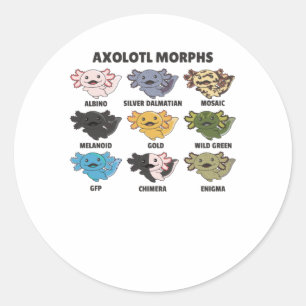 Pegatina Redonda Axolotls de Axolotl