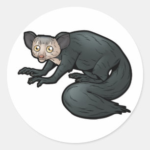 Pegatina Redonda Aye-Aye
