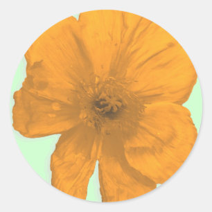 Pegatina Redonda Ayuda naranja/ Flor PopArt