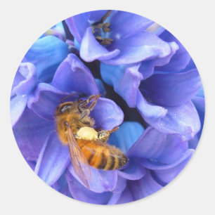 Pegatina Redonda AZUL HYACINTH ~ Pegatinas