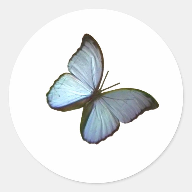 Pegatina Redonda Azul mariposa 45 grados Freiburg Alemania jGibney (Anverso)