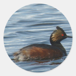 Pegatina Redonda B1 Eared Grebe
