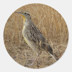 Pegatina Redonda B57 Pradera Occidental