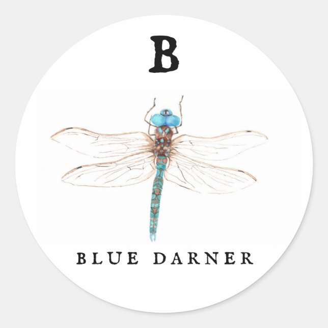 Pegatina Redonda "B" Blue Darner (Anverso)