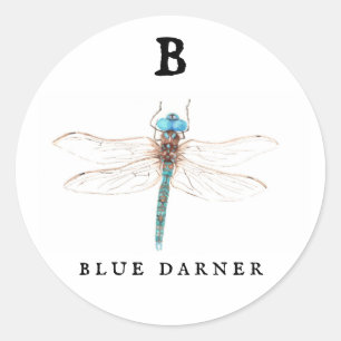 Pegatina Redonda "B" Blue Darner